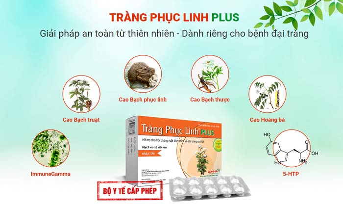 Đại học Y Hà Nội: Công bố thảo dược Việt Nam có tác dụng hỗ trợ giảm đau bụng, đi ngoài do đại tràng co thắt 1