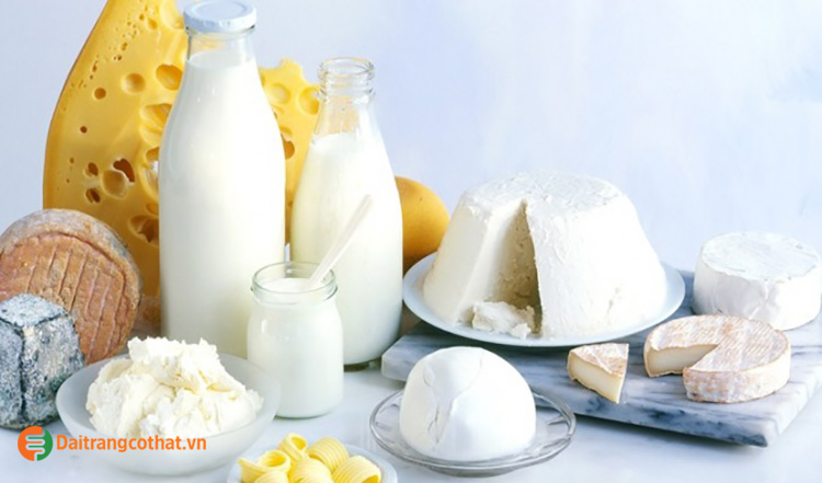 Sữa và các sản phẩm từ sữa 1