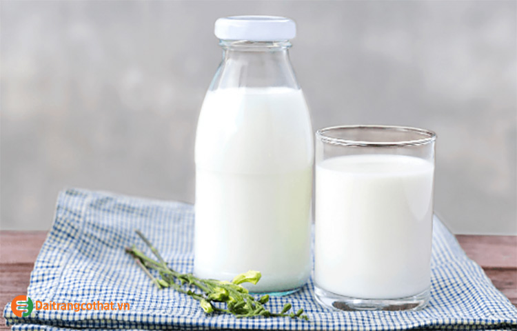 Tác động của sữa với hệ tiêu hóa 1